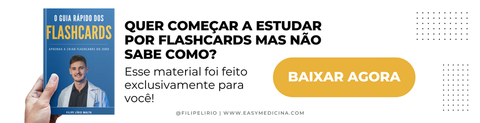 ebook o guia rápido dos flashcards